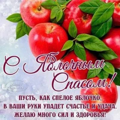 С Яблочным Спасом! Пусть, как спелое яблочко, в ваши руки упадет счастье и удача. Желаю много сил и здоровья!