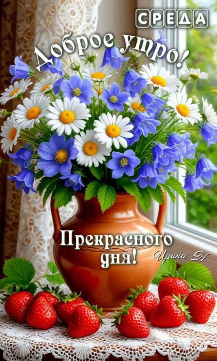 Доброе утро! Прекрасного дня!