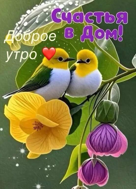 Счастья В Дом! Доброе утро ❤️