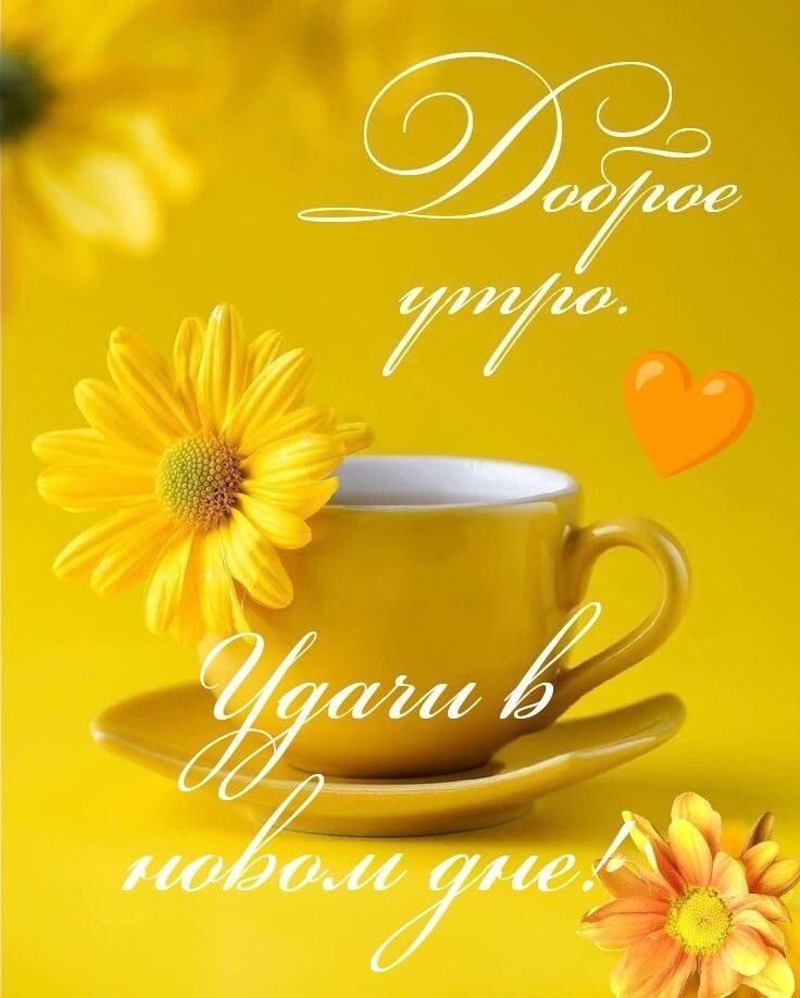 Доброе утро. Удачи в новом дне!