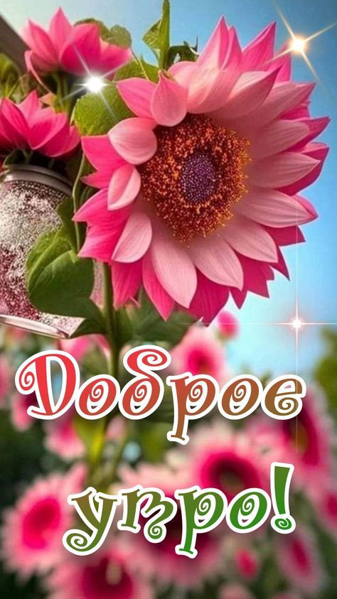Доброе утро!