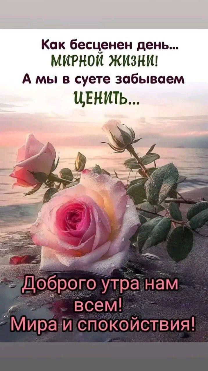 Как бесценен день... МИРНОЙ ЖИЗНИ! А мы в суете забываем ЦЕНИТЬ... Доброе утро нам всем! Мира и спокойствия!