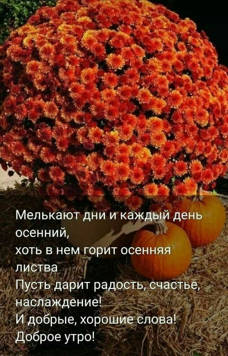 Мелькают дни и каждый день осенний,
хоть в нем горит осенняя листва.
Пусть дарит радость, счастье, наслаждение!
И добрые, хорошие слова!
Доброе утро!