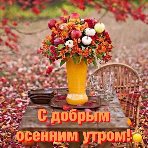 С добрым осенним утром!