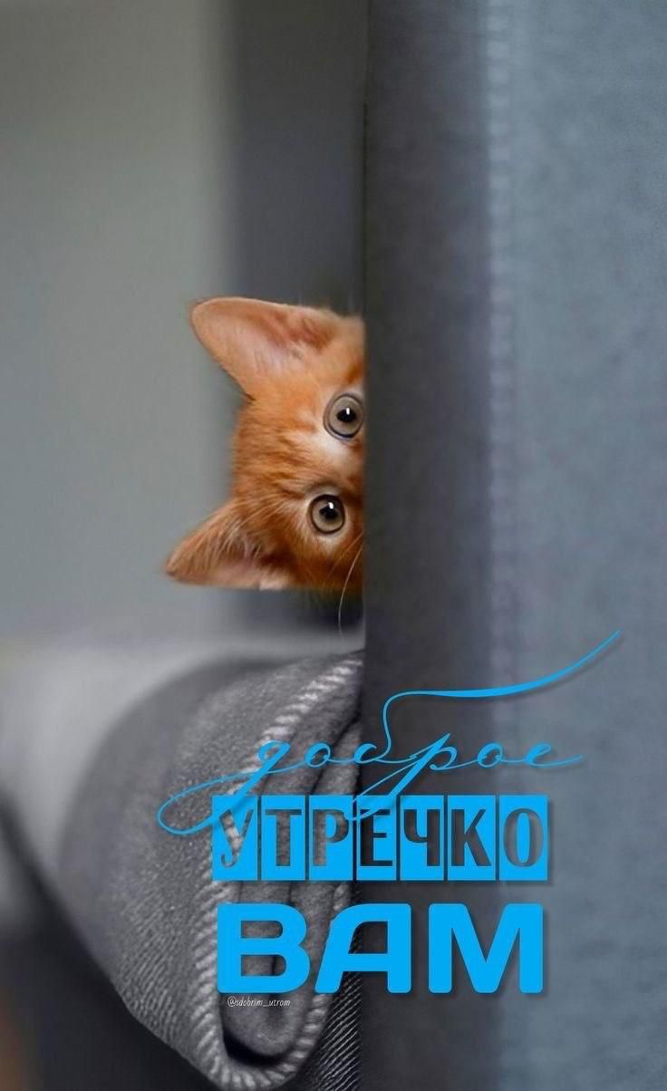 Доброе утречко ВАМ