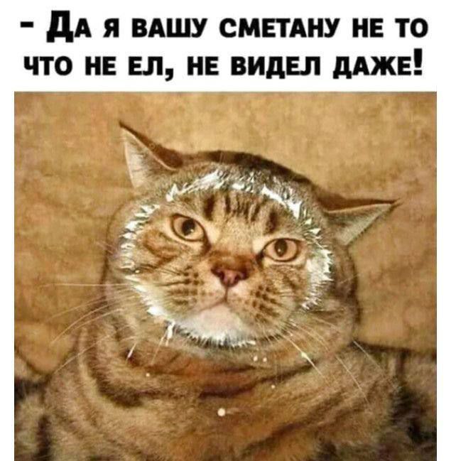 Да я вашу сметану не то что не ел, не видел даже!