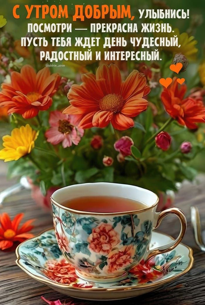 С УТРОМ ДОБРЫМ, УЛЫБНИСЬ! посмотри — прекрасна жизнь. пусть тебя ждет день чудесный, радостный и интересный.