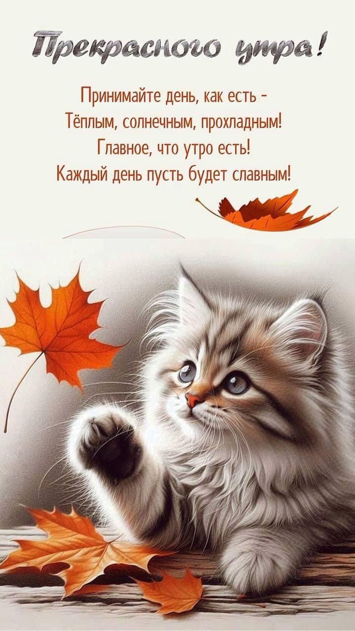 Прекрасного утра!
Принимайте день, как есть -
Тёплым, солнечным, прохладным!
Главное, что утро есть!
Каждый день пусть будет славным!