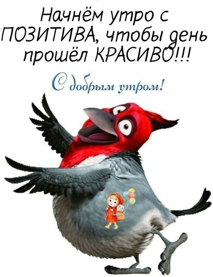 Начнём утро с ПОЗИТИВА, чтобы день прошёл КРАСИВО!!!
С добрым утром!