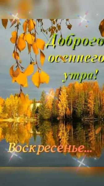 Доброего осеннего утра! Воскресенье...