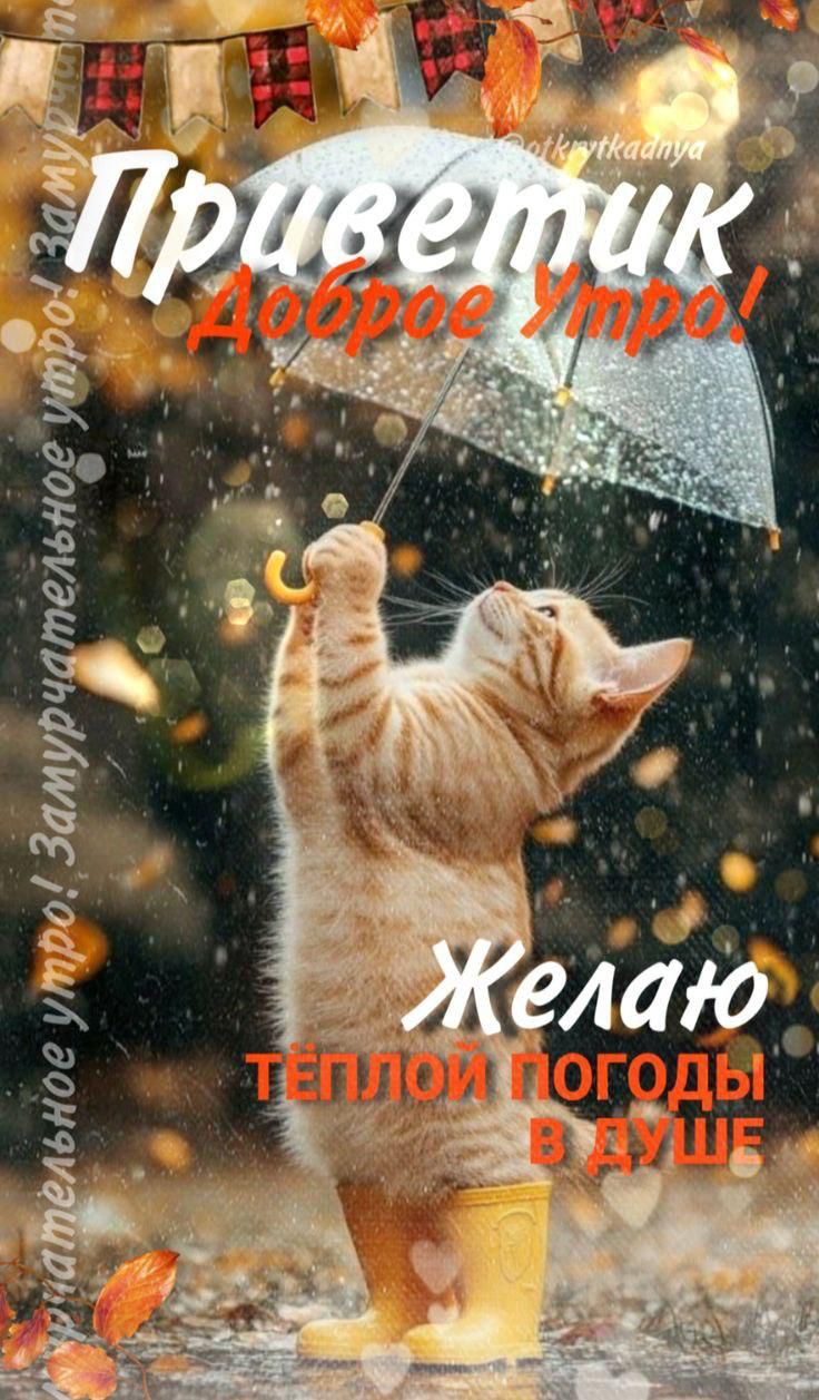 Приветик Доброе Утро! Желаю ТЕПЛОЙ ПОГОДЫ В ДУШЕ
