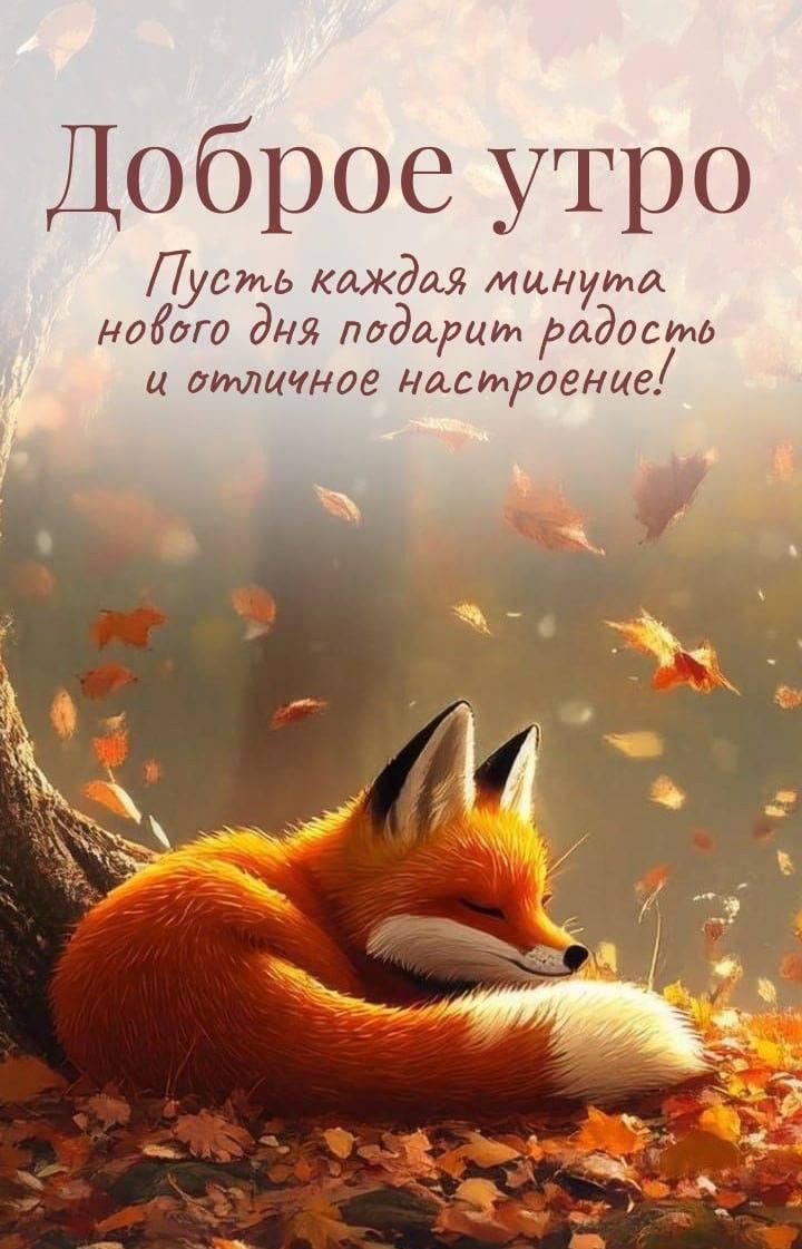 Доброе утро
Пусть каждая минута нового дня подарит радость и отличное настроение!