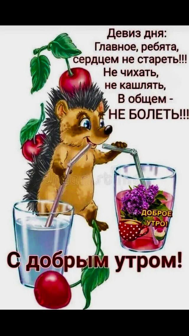 Девиз дня: Главное, ребята, сердцем не стареть!!! Не чихать, не кашлять, В общем - НЕ БОЛЕТЬ!!! С добрым утром!