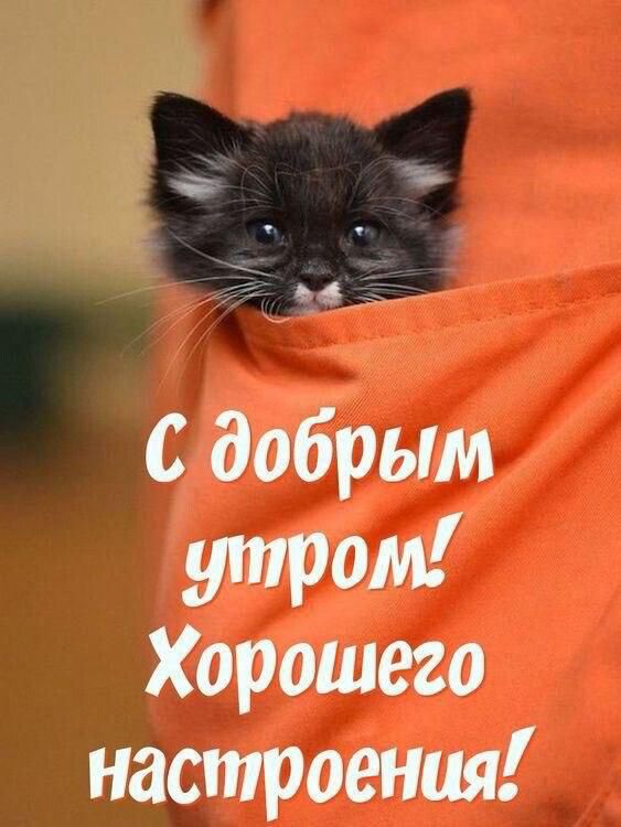 С добрым утром! Хорошего настроения!