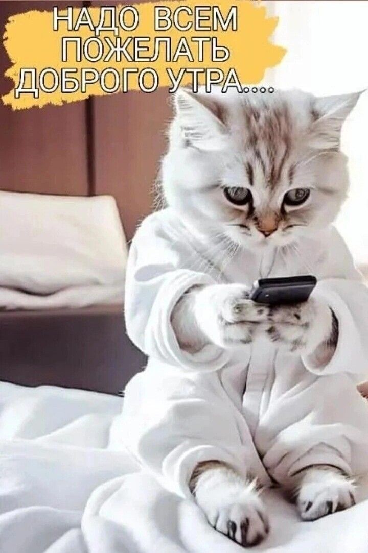 НАДО ВСЕМ ПОЖАЛАТЬ ДОБРОГО УТРА...