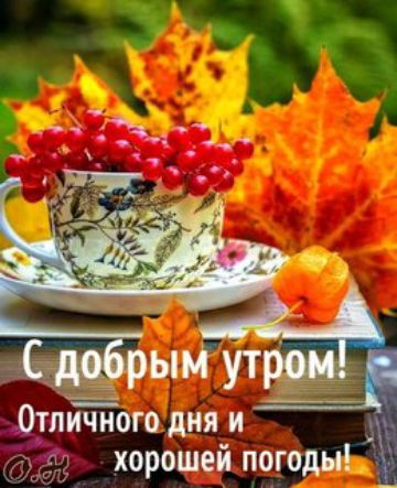 С добрым утром! Отличного дня и хорошей погоды!
