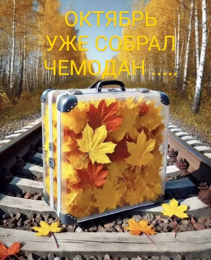 ОКТЯБРЬ УЖЕ СОБРАЛ ЧЕМОДАН ...