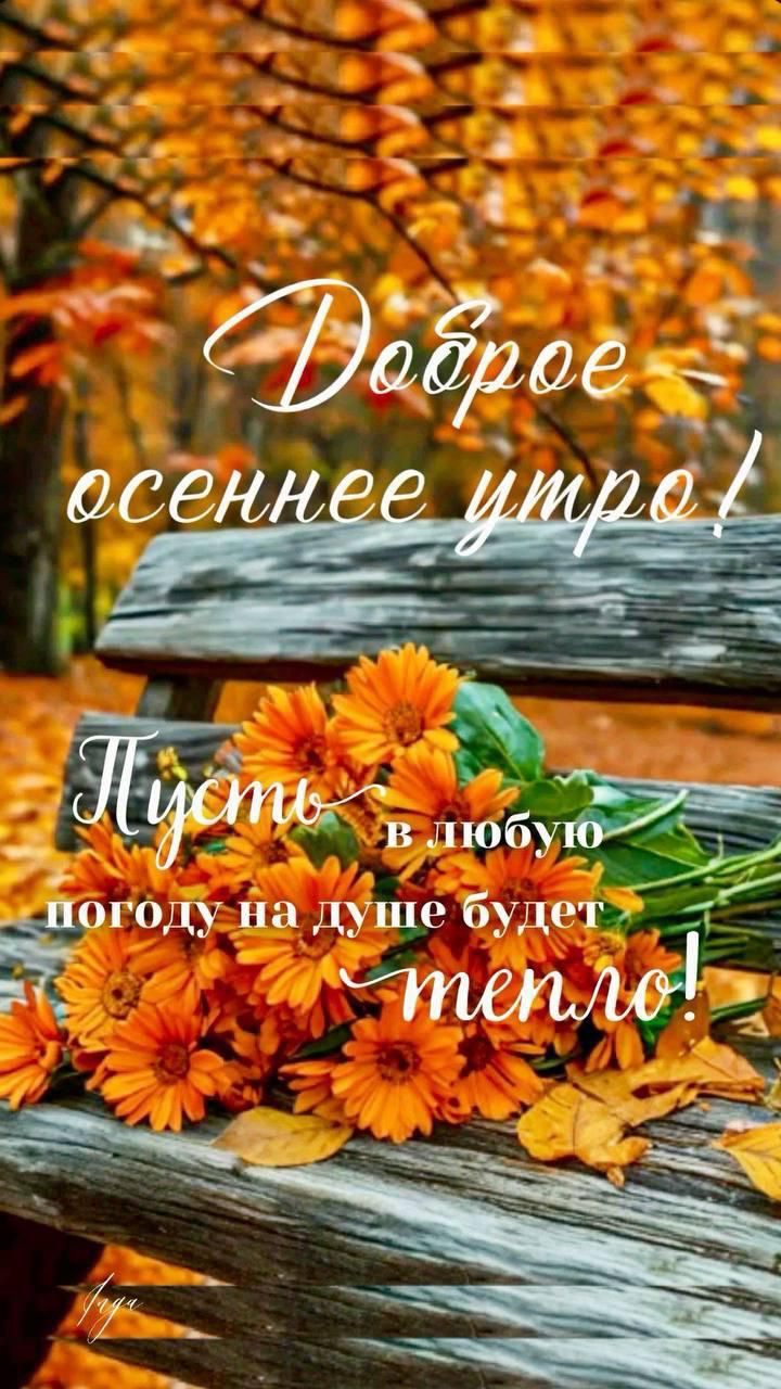 Доброе осеннее утро! Пусть в любую погоду на душе будет тепло!