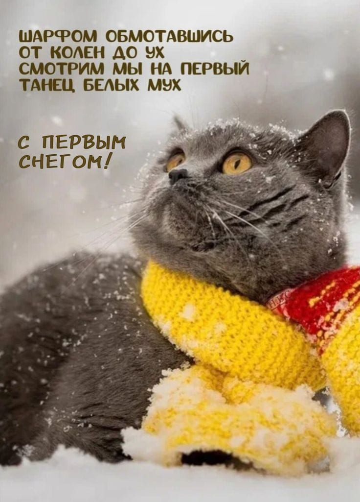 ШАРФОМ ОБМОТАВШИСЬ ОТ КОЛЕН ДО УХ СМОТРИМ МЫ НА ПЕРВЫЙ ТАНЕЦ БЕЛЫХ МУХ

С ПЕРВЫМ СНЕГОМ!