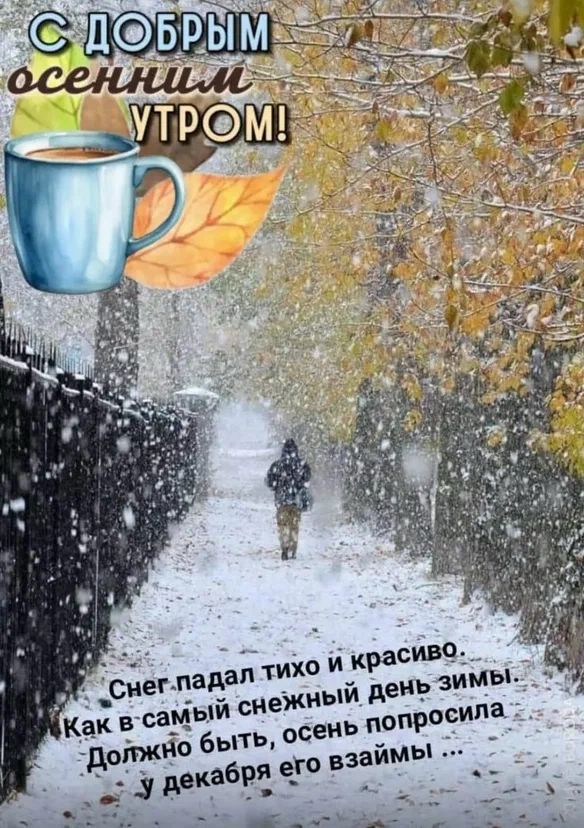 С ДОБРЫМ осенним УТРОМ! Снег падал тихо и красиво. Как в самый снежный день зимы! Должно быть, осень попросила у декабря его взаймы ...