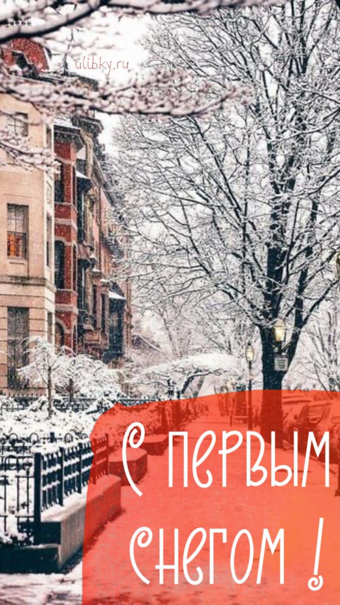 С первым снегом!