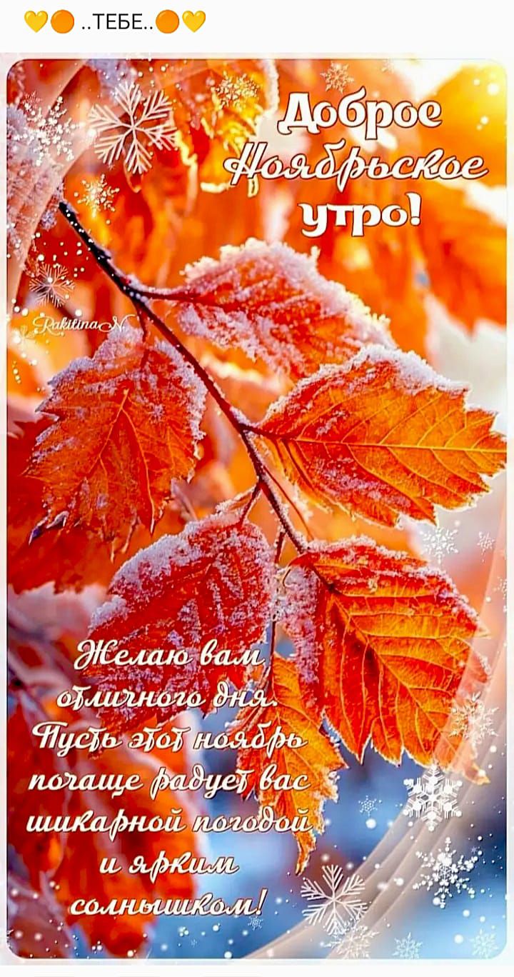 Доброе Ноябрьское утро! Желаю вам отличного дня. Пусть этот ноябрь почаще радует вас шикарной погодой и ярким солнышком!