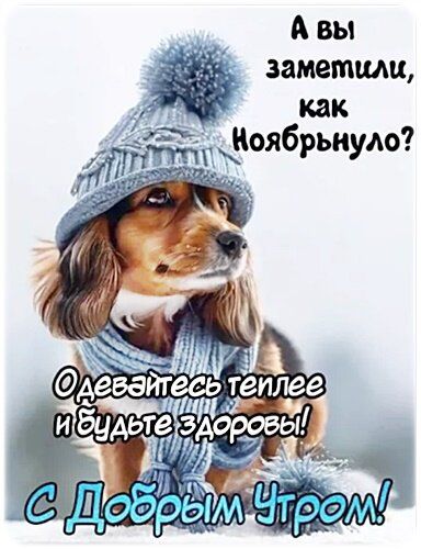 А вы заметили, как Ноябрьнуло? Одевайтесь теплее и будьте здоровы! С Добрым Утром!