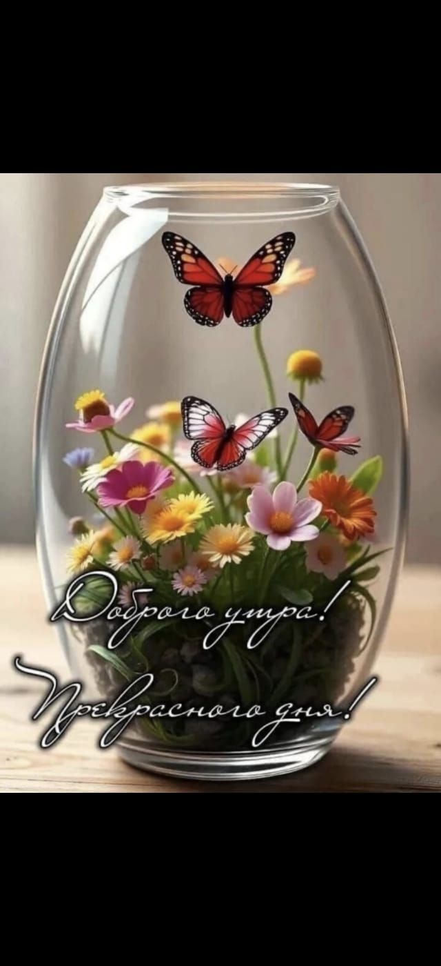 Доброе утро! Прекрасного дня!