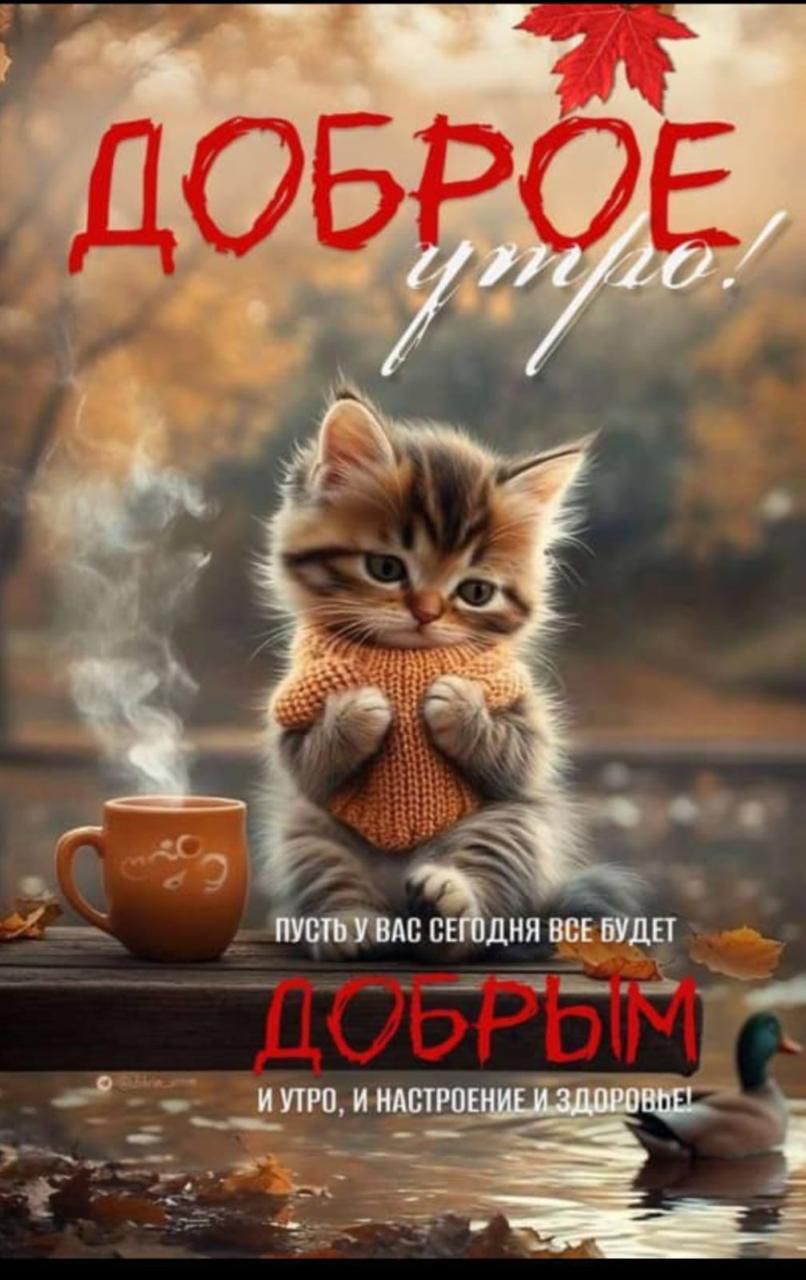 Доброе утро! Пусть у вас сегодня все будет добрым: утро, настроение и здоровье.