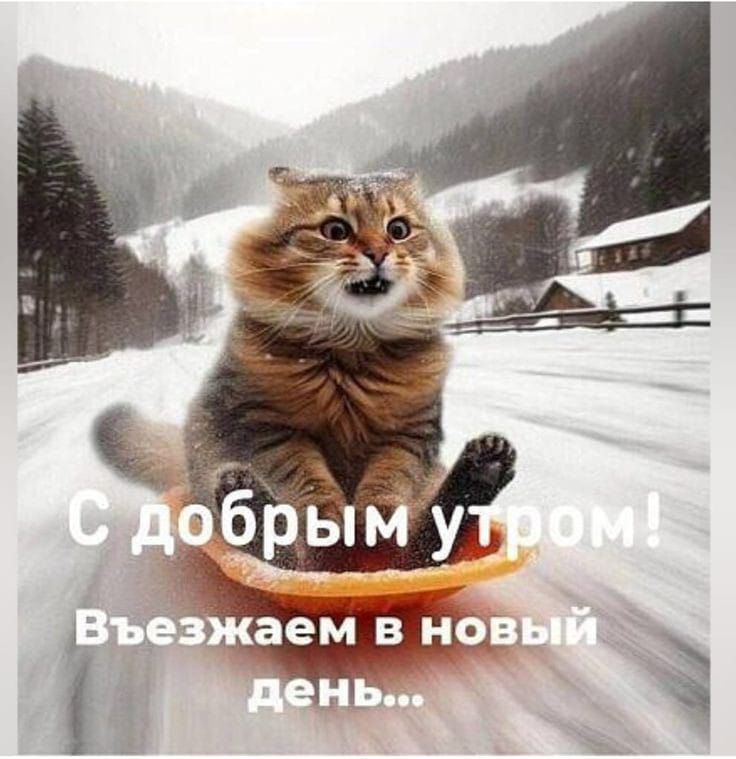 С добрым утром! Въезжаем в новый день...