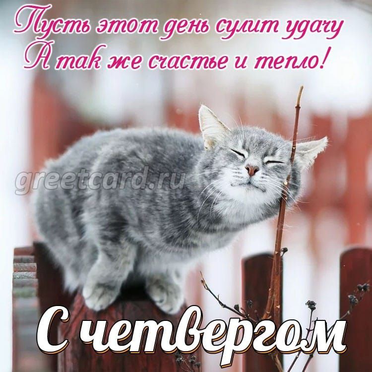 Пусть этот день сулит удачу А так же счастье и тепло! С сентябрём