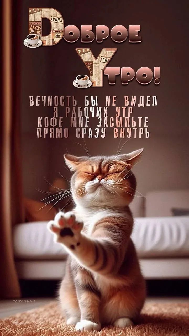 Доброе утро! Вечность бы не видел я рабочих утр кофе мне засыпьте прямо сразу внутрь