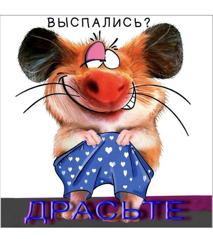 ВЫСПАЛИСЬ? ДРАСЬТЕ