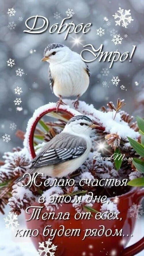 Доброе утро! Желаю счастья в этом дне, тепла от всех, кто будет рядом...