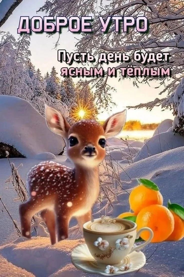 Доброе утро Пусть день будет ясным и тёплым