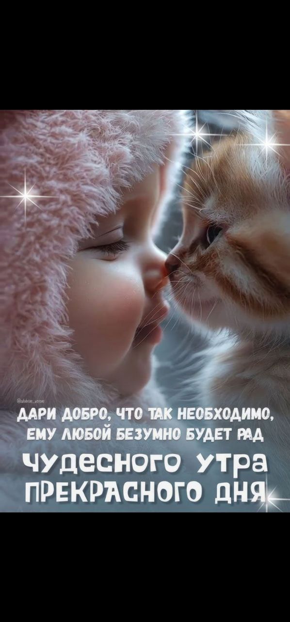 Дари добро, что так необходимо, ему любой безумно будет рад Чудесного утра прекрасного дня