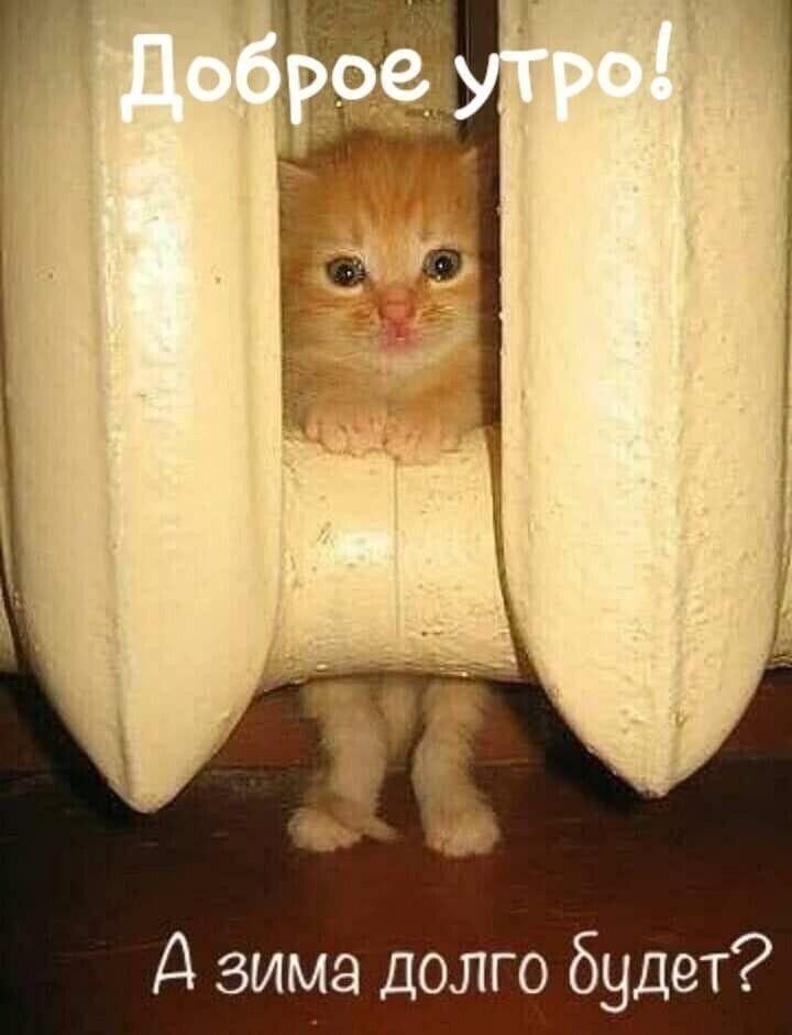 Доброе утро!
А зима долго будет?