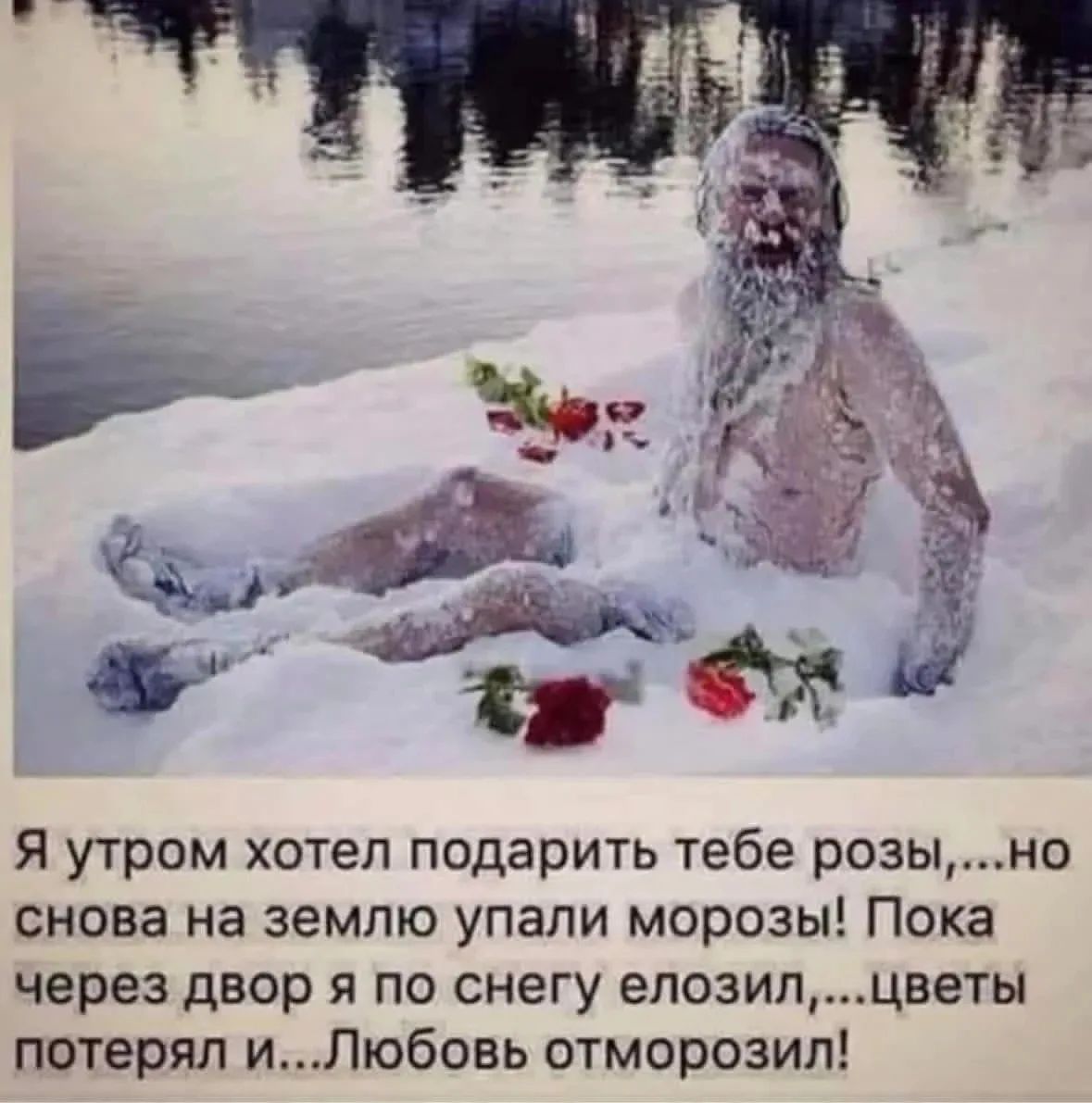 Я утром хотел подарить тебе розы,...но снова на землю упали морозы! Пока через двор я по снегу елозил...цветы потерял и...Любовь отморозил!