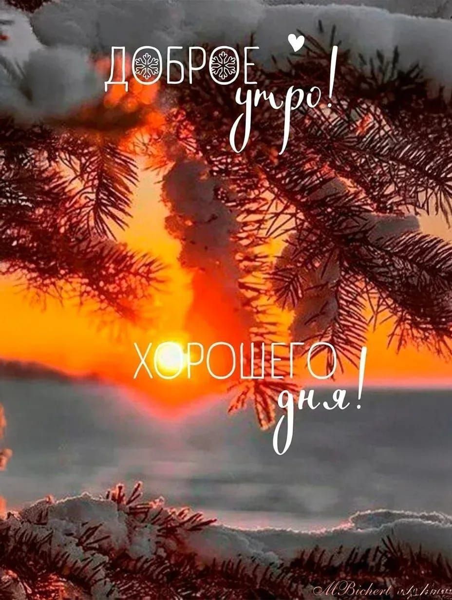 Доброе утро! Хорошего дня!