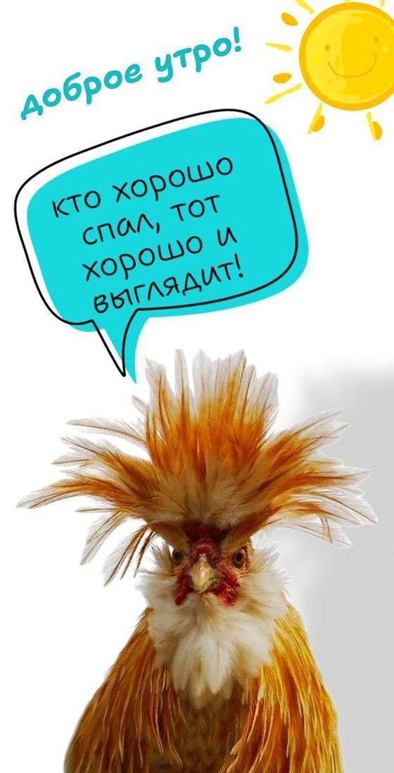 Доброе утро! Кто хорошо спал, тот хорошо и выглядит!