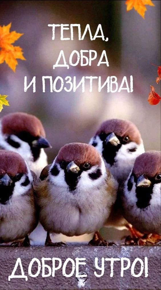 Тепла, добра и позитива! Доброе утро!