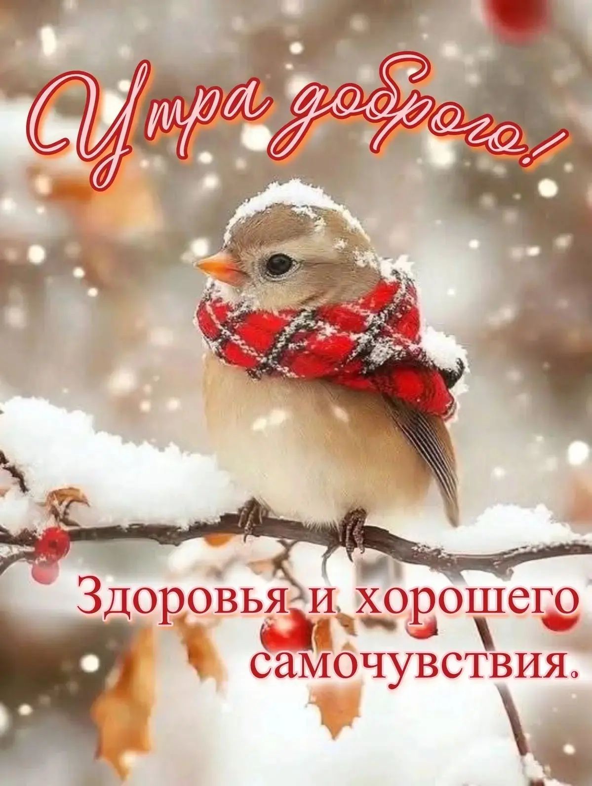 Утра добро! Здоровья и хорошего самочувствия.