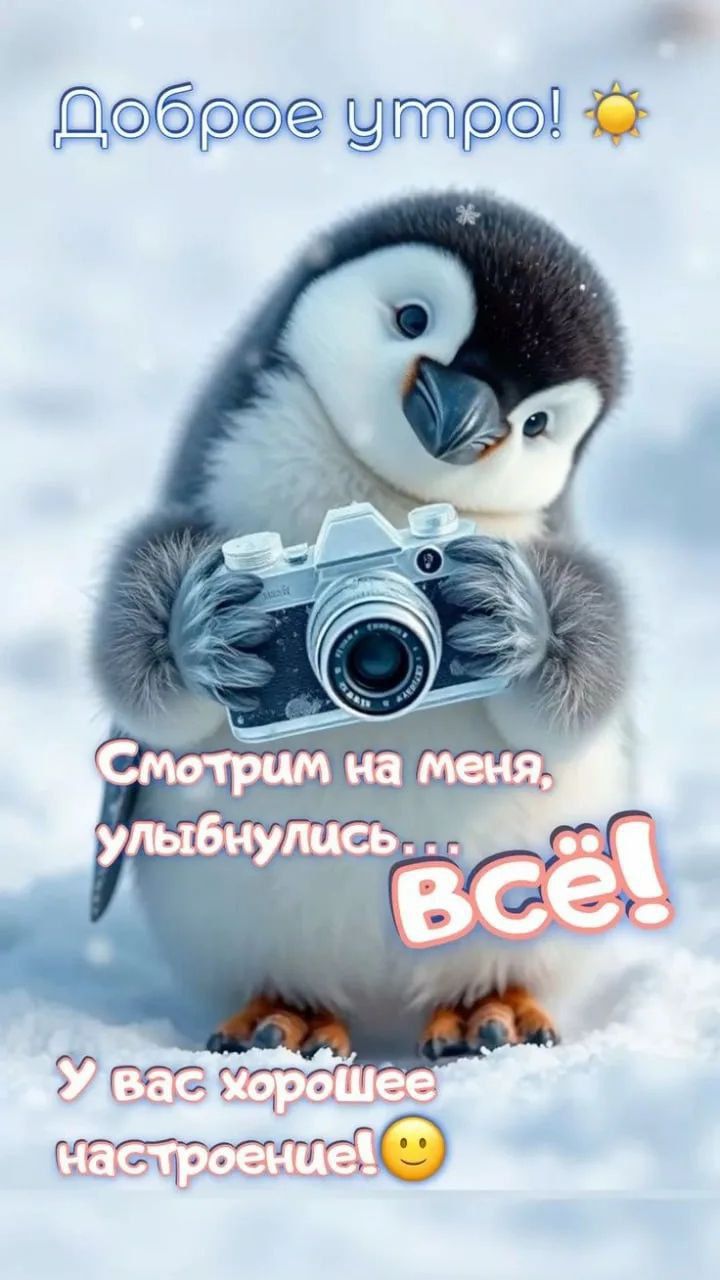 Доброе утро! Смотрим на меня, улыбнулись... всё! У вас хорошее настроение!