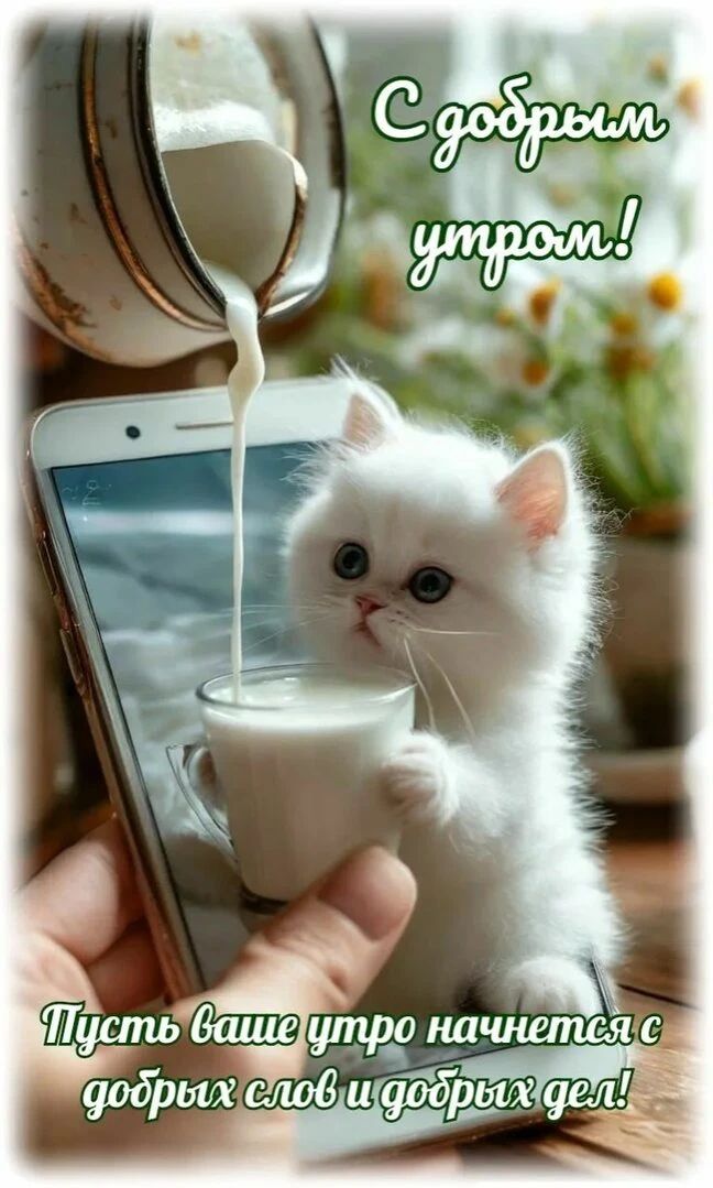 С добрым утром!
Пусть ваше утро начнется с добрых слов и добрых дел!