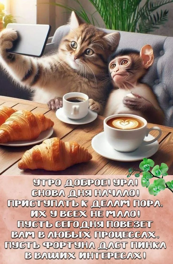 УТРО ДОБРОЕ! УРА! СНОВА ДЕНЬ НАЧАЛСЯ! ПРИСТУПАТЬ К ДЕЛАМ ПОРА. ИХ У ВСЕХ НЕ МАЛО! ПУСТЬ СЕГОДНЯ ПОВЕЗЕТ ВАМ В ЛЮБЫХ ПРОЦЕССАХ. ПУСТЬ ФОРТУНА ДАСТ ПИНКА В ВАШИХ ИНТЕРЕСАХ!