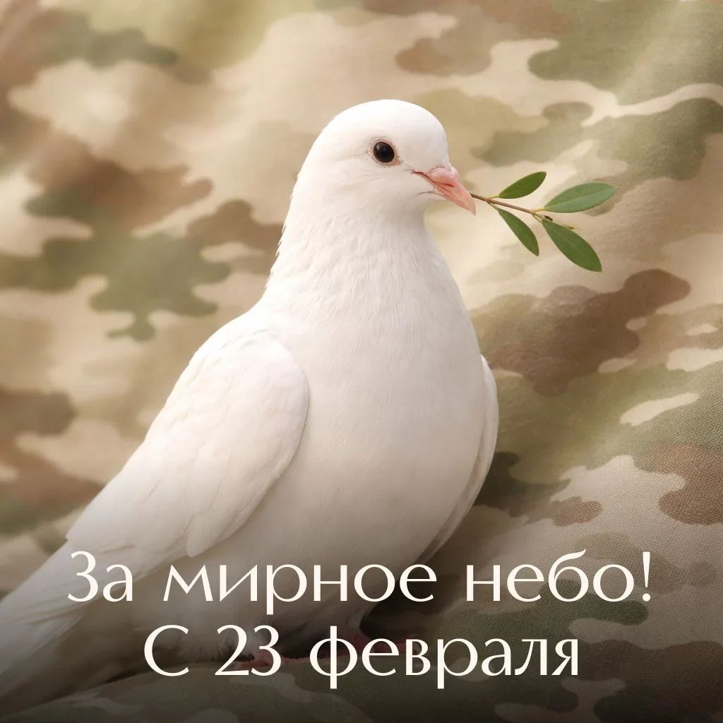 За мирное небо! С 23 февраля