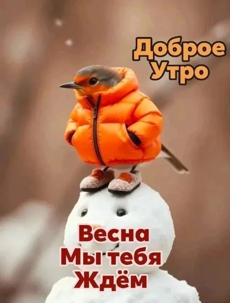 Доброе Утро\nВесна Мы тебя Ждём