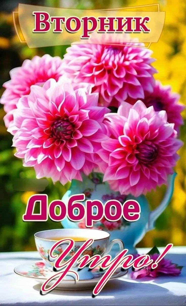 Вторник Доброе Утро!