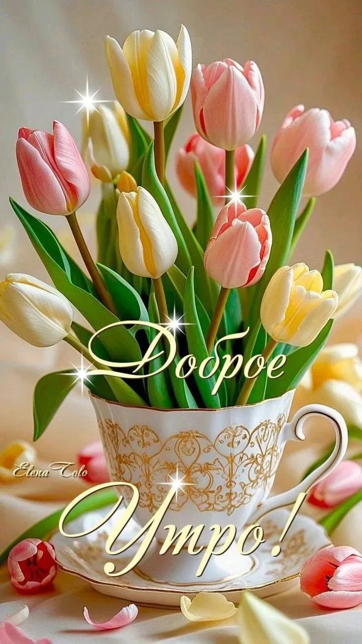 Доброе утро!