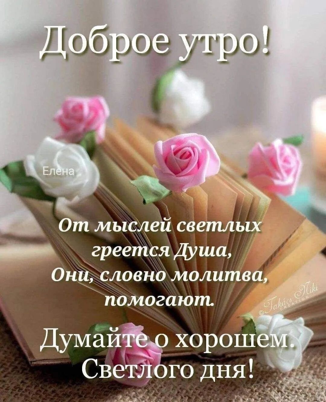 Доброе утро! Елена. От мыслей светлых греется Душа, Они, словно молитва, помогут. Думайте о хорошем. Светлого дня!